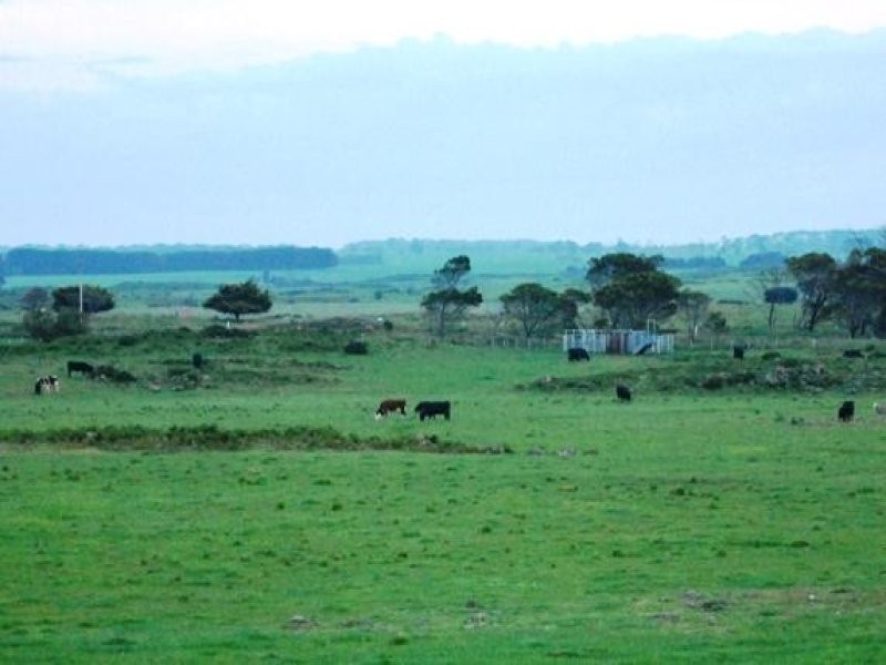 McGillivrays Road, Willatook VIC 3283