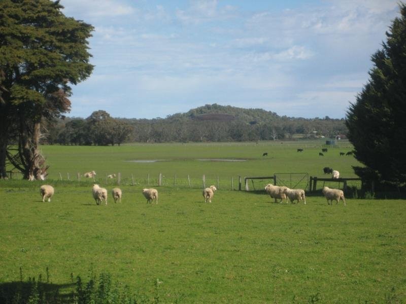 8 Ardonachie School Road, Macarthur VIC 3286