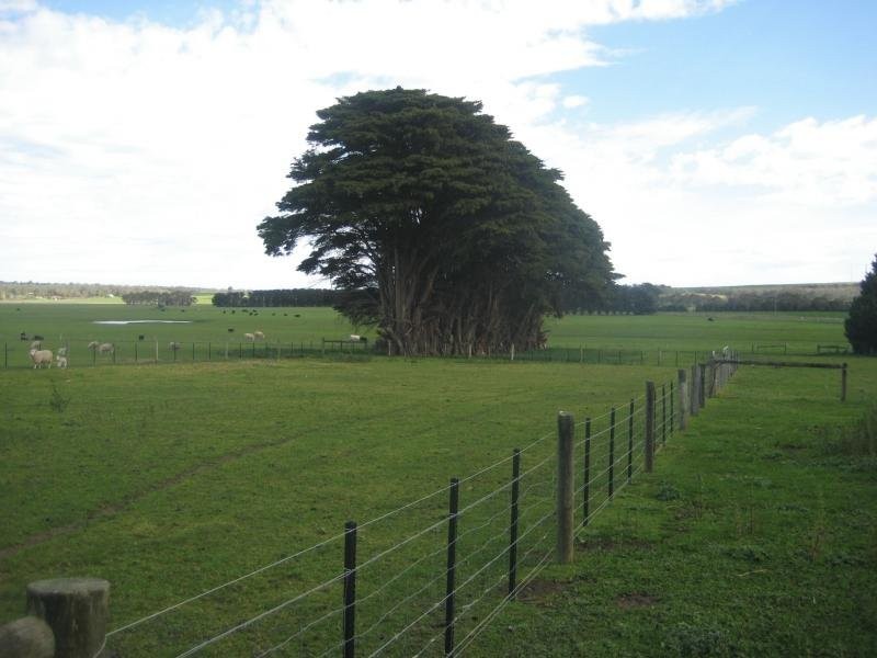 8 Ardonachie School Road, Macarthur VIC 3286