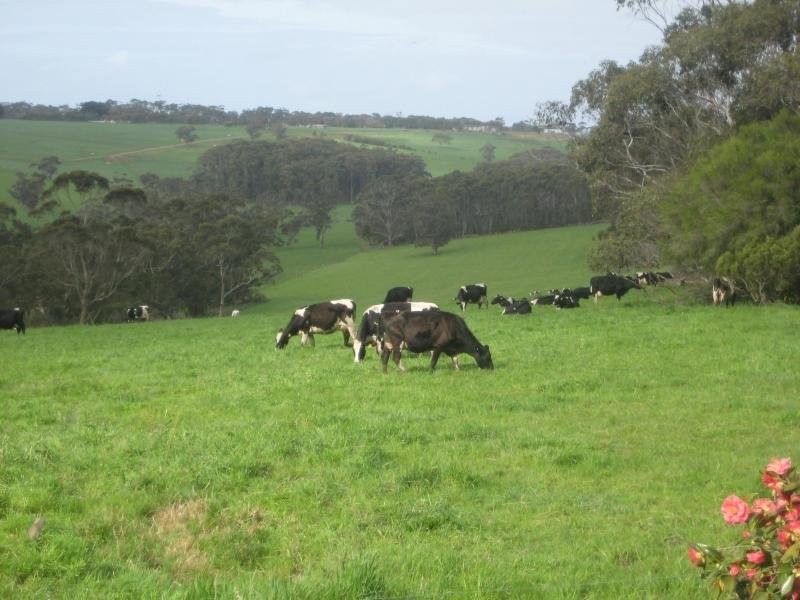 129 Worlands Road, Jancourt East VIC 3266