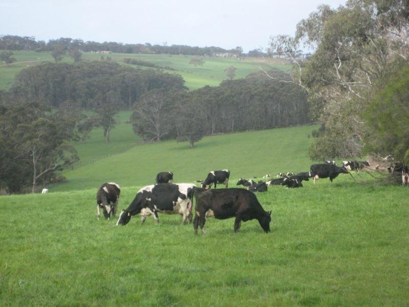 129 Worlands Road, Jancourt East VIC 3266