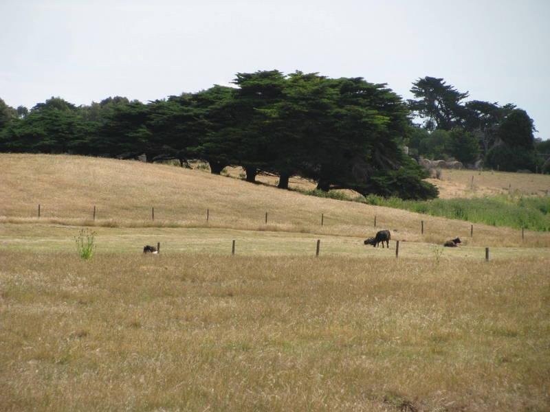 Sharkeys Road, Rosebrook VIC 3285