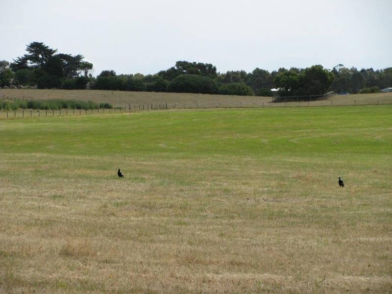 Sharkeys Road, Rosebrook VIC 3285