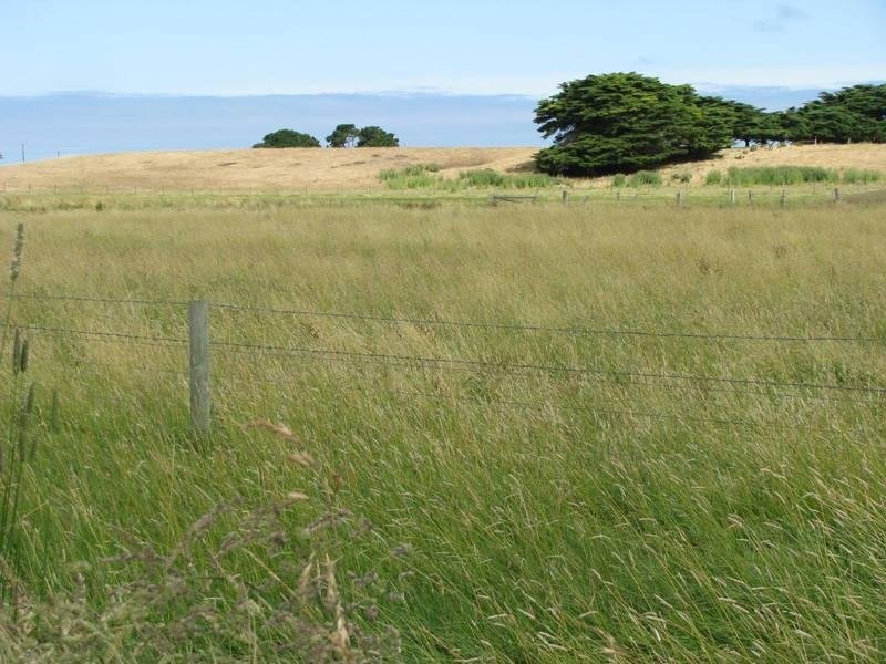 Sharkeys Road, Rosebrook VIC 3285