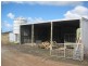 102 Sandy Lane, Codrington VIC 3285
