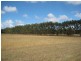 102 Sandy Lane, Codrington VIC 3285