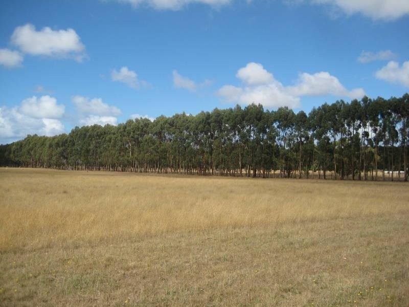 102 Sandy Lane, Codrington VIC 3285