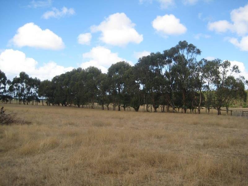 102 Sandy Lane, Codrington VIC 3285