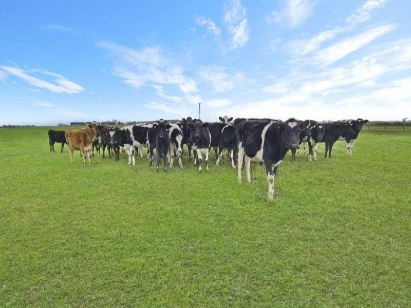 90 Podgers Lane, Kolora VIC 3265