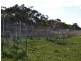 7327 Princes Highway, Tyrendarra VIC 3285