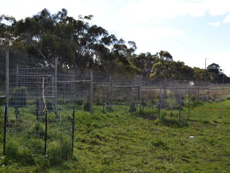 7327 Princes Highway, Tyrendarra VIC 3285
