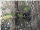 7327 Princes Highway, Tyrendarra VIC 3285