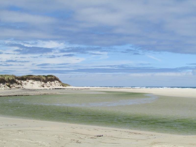 7327 Princes Highway, Tyrendarra VIC 3285