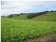 102 Gleesons Road, Purnim VIC 3278