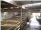 102 Gleesons Road, Purnim VIC 3278
