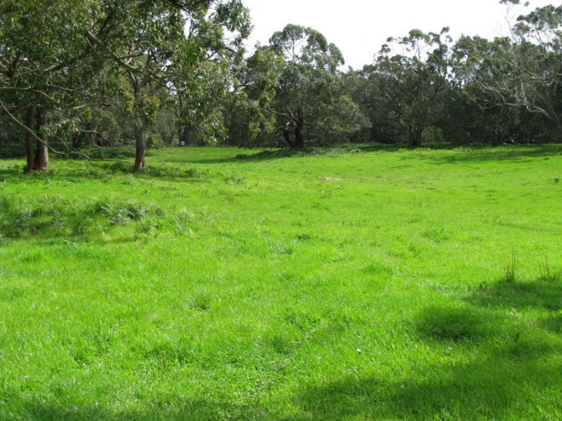 400 Old Mill Road, Tyrendarra East VIC 3285