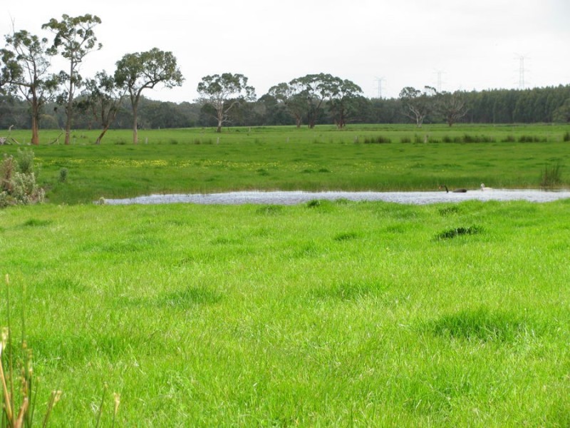 400 Old Mill Road, Tyrendarra East VIC 3285