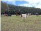 1347 Branxholme – Byaduk Road, Byaduk North VIC 3300