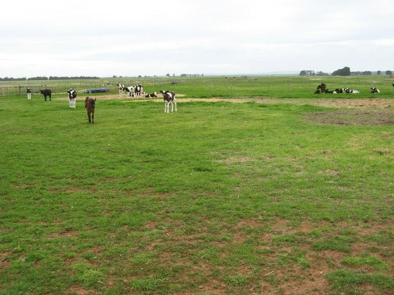 666 Dixons Road, Kongorong SA 5291