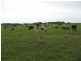 666 Dixons Road, Kongorong SA 5291