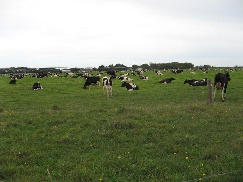 666 Dixons Road, Kongorong SA 5291