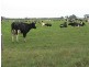 666 Dixons Road, Kongorong SA 5291