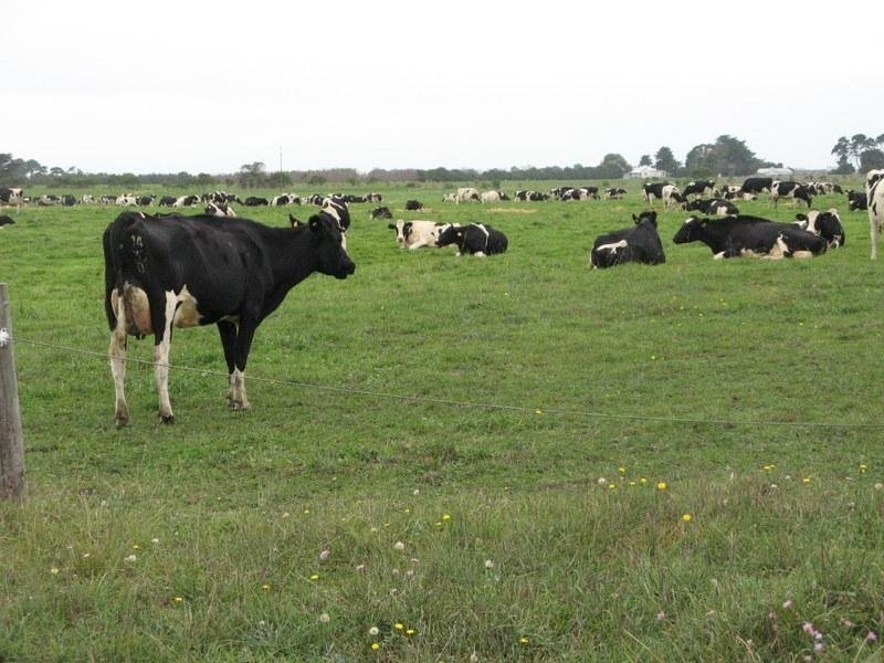 666 Dixons Road, Kongorong SA 5291