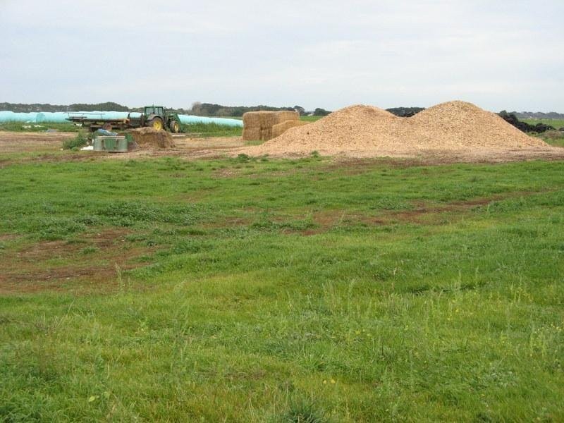 666 Dixons Road, Kongorong SA 5291