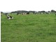 666 Dixons Road, Kongorong SA 5291