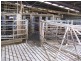 666 Dixons Road, Kongorong SA 5291