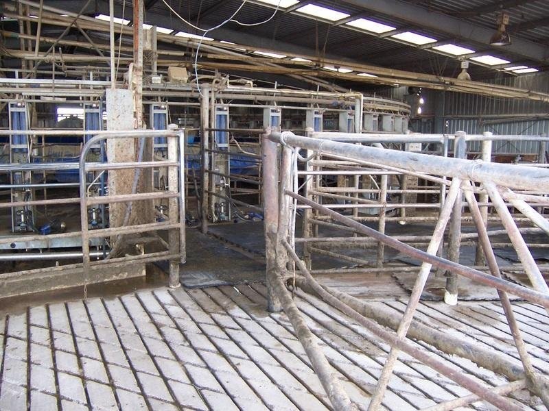 666 Dixons Road, Kongorong SA 5291