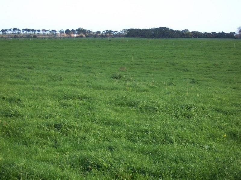 666 Dixons Road, Kongorong SA 5291