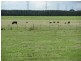 839 Hexham Road, Woolsthorpe VIC 3276