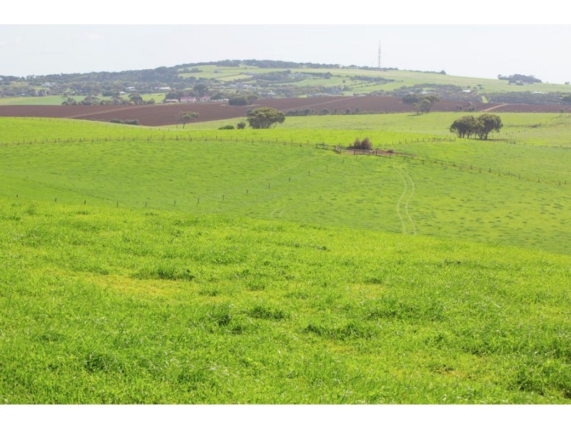 Warrnambool VIC 3280