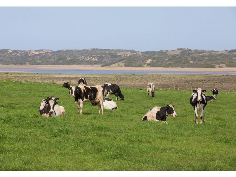 Warrnambool VIC 3280