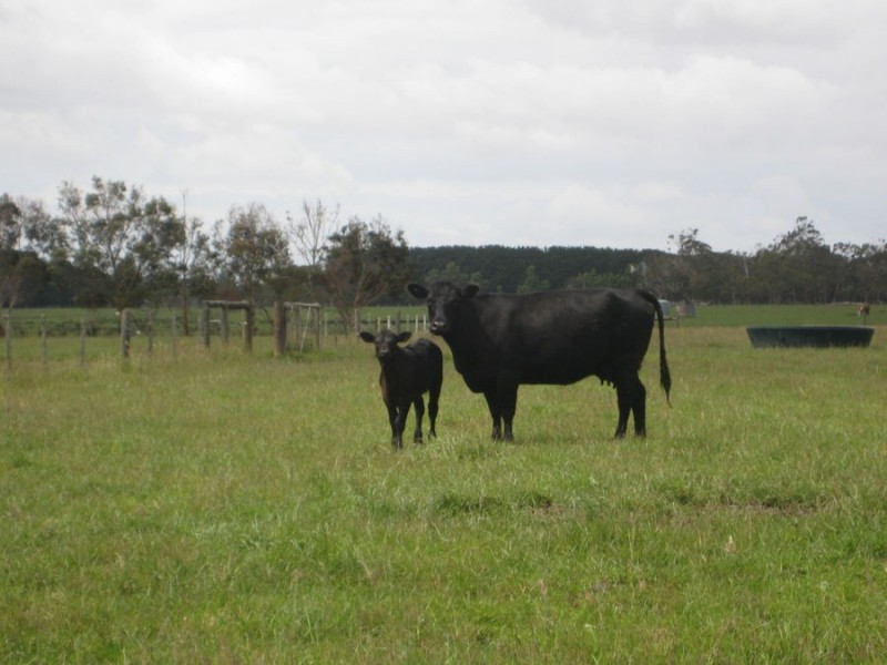 671 Kentbruck Road, Heywood VIC 3304