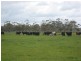 671 Kentbruck Road, Heywood VIC 3304