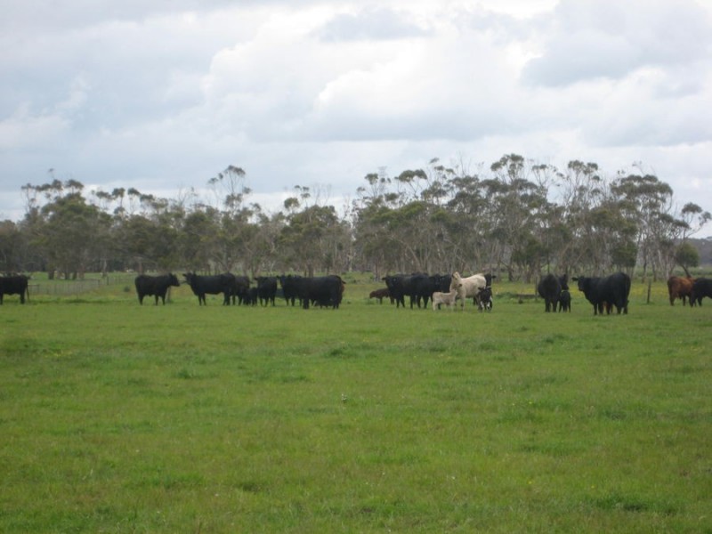 671 Kentbruck Road, Heywood VIC 3304