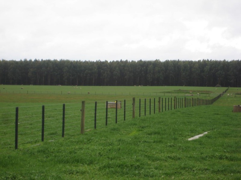 100 Cemetery Road, Condah VIC 3303