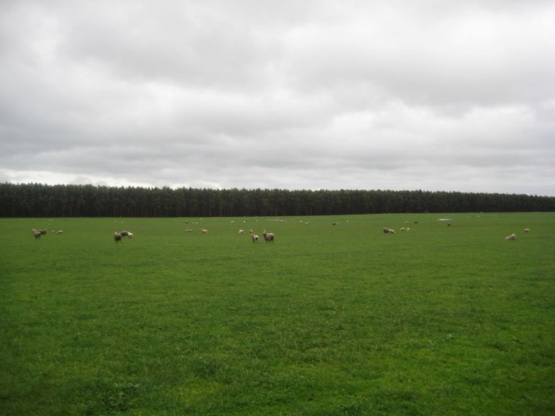 100 Cemetery Road, Condah VIC 3303