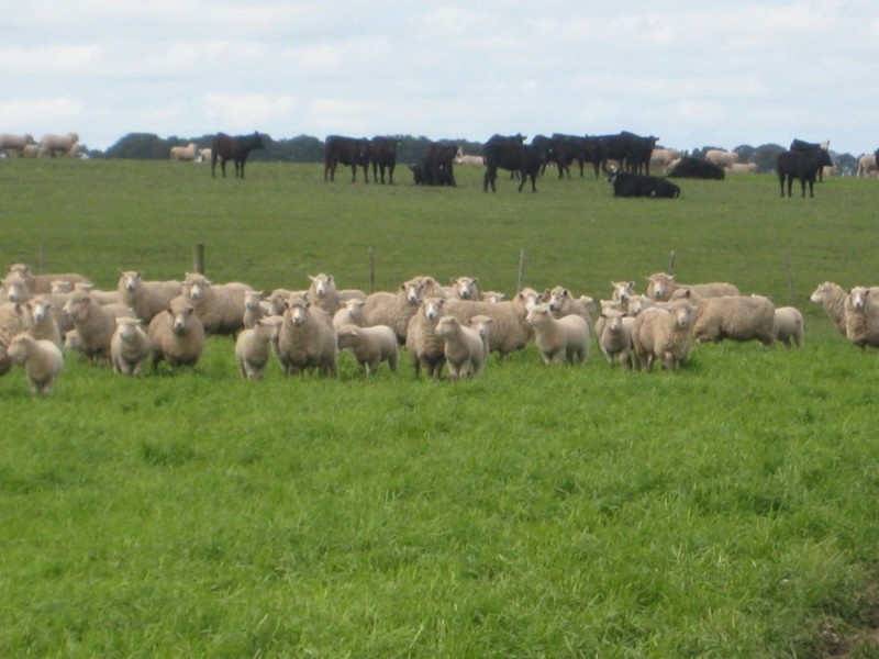 1 Purdeet Road, Purdeet VIC 3289