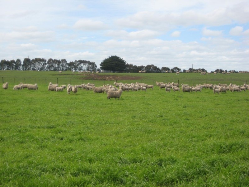 1 Purdeet Road, Purdeet VIC 3289