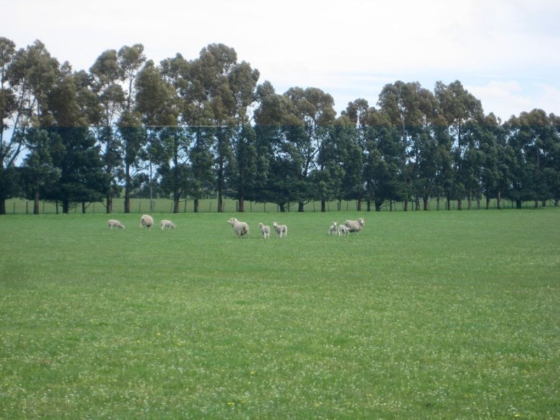 1 Purdeet Road, Purdeet VIC 3289