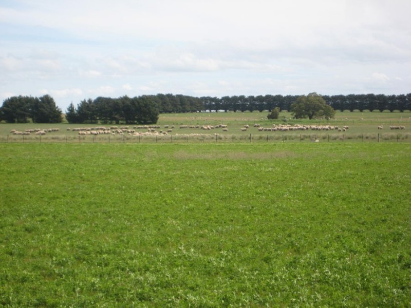 1 Purdeet Road, Purdeet VIC 3289