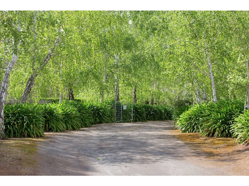 130 Hensley Park Road, Hamilton VIC 3300