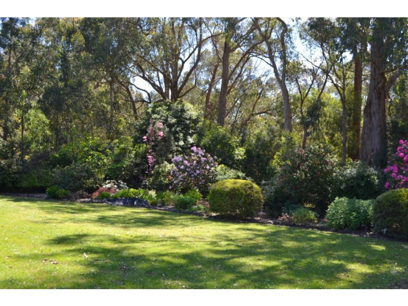 149 Curdievale Road, Timboon VIC 3268