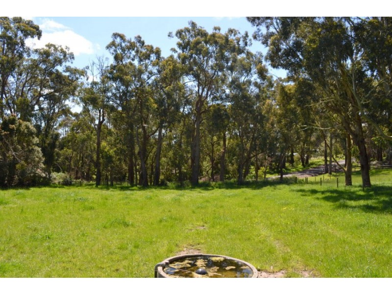 149 Curdievale Road, Timboon VIC 3268