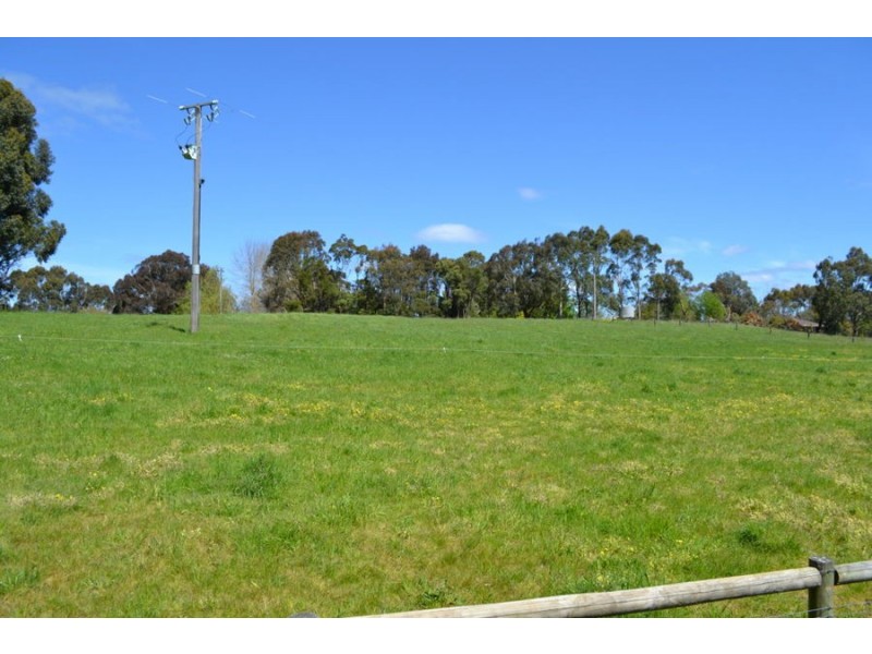 149 Curdievale Road, Timboon VIC 3268