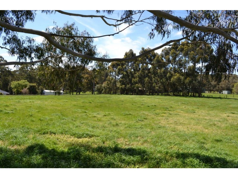 149 Curdievale Road, Timboon VIC 3268