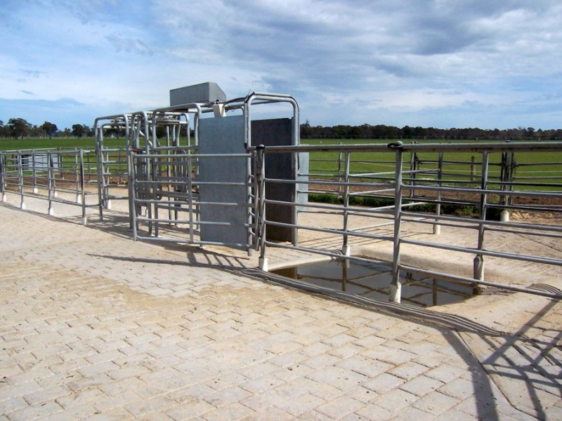 818 Mt McIntyre Road, Mount Mcintyre SA 5279